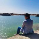 stefen wong 的头像