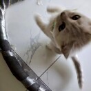 黄珊珊