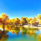 那就好的钢琴谱