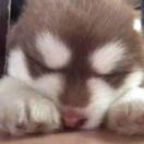 若晴的头像-长游分享网