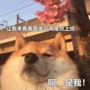 哒哒