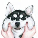 方程