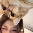 伦敦求租