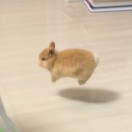 文森