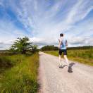 用户30016983的头像-小燕分享网