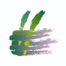 泡