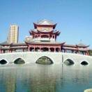 天上人间的头像-熵减岛