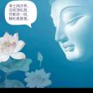 大山孔业：专业钻孔、舒通管道