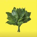 jiege的头像-听书迷