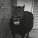 user_mks5mmujrcqa5m3o member profile picture
