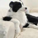 humility的头像-博士钣金 - www.bsbanjin.com