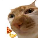 用户70217633的头像-博士钣金 - www.bsbanjin.com