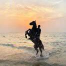 u客直谈实名认证陈先生