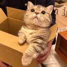 赵敏