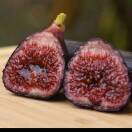 相信自己的头像-小果迷