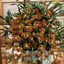 玲姐的头像-澳门国际