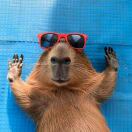 Hanna的个人空间