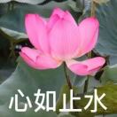 账号已注销的头像-三米星球：游戏人&互联网人终身成长的平台