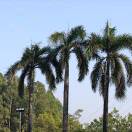 用户15983770的头像-柒伍零丨网络资源社区