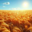 黄秋叶的头像-博士钣金 - www.bsbanjin.com