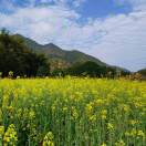 周仟的头像-博士钣金 - www.bsbanjin.com