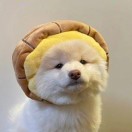 用户64598172的头像-博士钣金 - www.bsbanjin.com