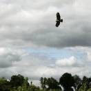 蓝鲸DS🌊🐳 ¹²³🦕🐬 ᩚ