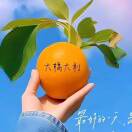 向阳的头像-VAM®克苏恩资源社区