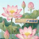 广州极速钟Kent  ***