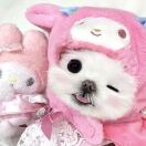 Victoria Hall King's Cross转租&房东直租