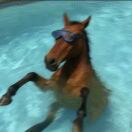 小李的头像-博士钣金 - www.bsbanjin.com