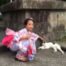 斯旺西求租