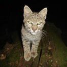 The Motorworx转租&房东直租