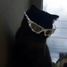 user_d3a08k9npau48lgp member profile picture