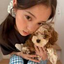 The Laurent转租&房东直租