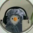 往事藏于晚风的头像-文库集