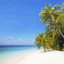 追梦人的头像-宋播播带货工作室