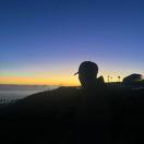 Thea转租&房东直租