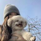 蜜蜂小狗的头像-创薯资源