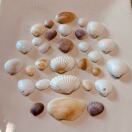 阳阳的头像-熵减岛