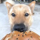 user_7ex9qmb4oum6pqbv member profile picture