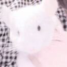 ㅤ_983