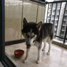 大然的头像-藏宝楼源码网