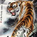 冯先生的头像
