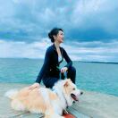 APT 03转租&房东直租