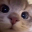user_jcdpb8qtjvqs0jxc member profile picture