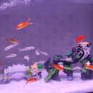 攻城狮的头像-博士钣金 - www.bsbanjin.com