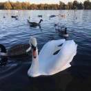 第十六日的头像-梦马考研