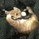 i彤.的头像-松纸工作室博客