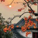 张凯歌